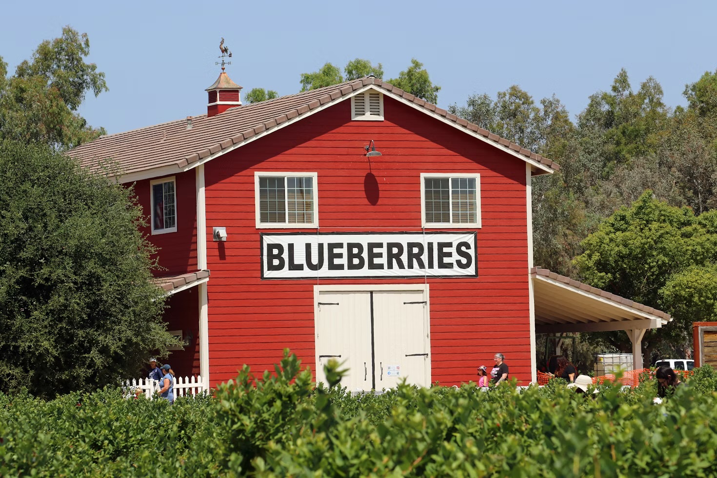 Wildomar, California